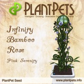 PlantPet Seed [Infinity Bamboo Rose *Pink Serenity*]