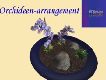 PT Orchideenarrangement blue