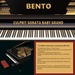 Culprit sonata baby grand s