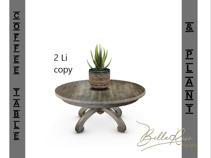[BR] Round Coffee Table & Plant