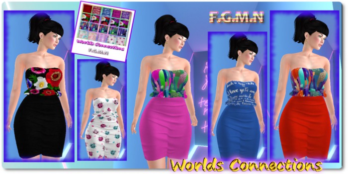 F.G.M.N/Worlds Connections