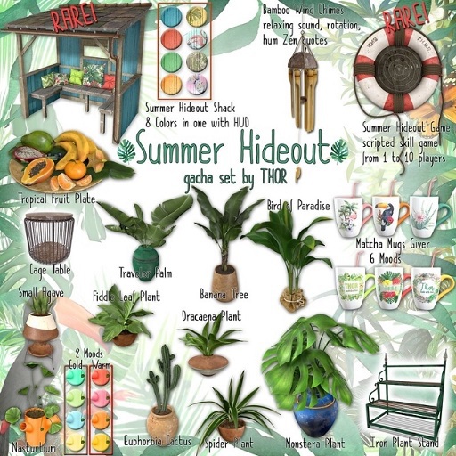 ..::THOR::.. Matcha Mug - Rainforest - giver