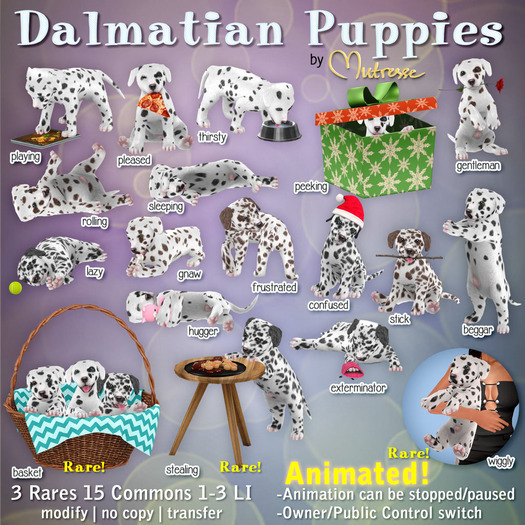 Mutresse-Stealing-Dalmatian Puppies RARE