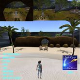 The  Prestine Shores Private Island -BOX