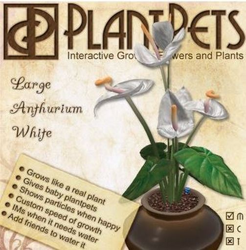 PlantPet Seed [Large Anthurium *White*] Common - Updated 1/21