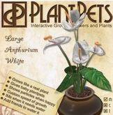 PlantPet Seed [Large Anthurium *White*]