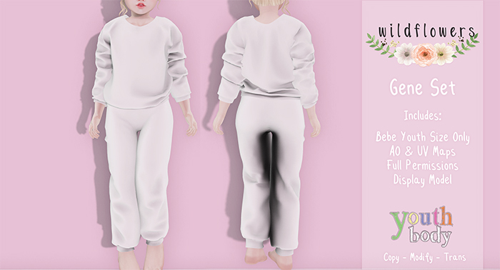 {WF} Template - Gene Set Youth