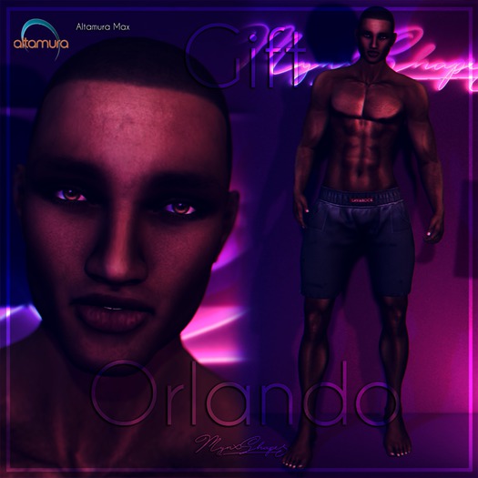 Altamura Max bento - Orlando shape (Add)