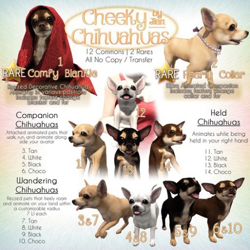 JIAN Cheeky Chihuahuas BOX 14. Choco Held 1