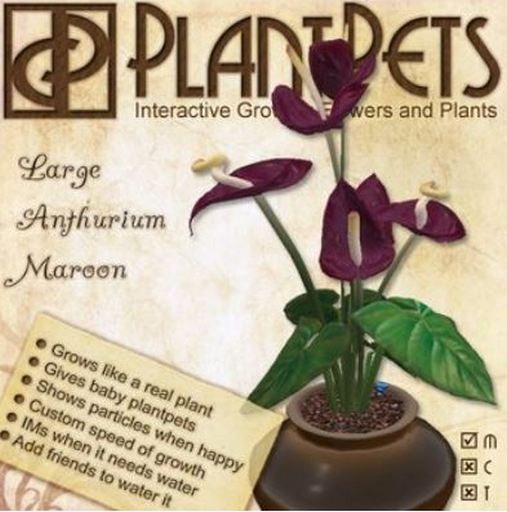PlantPet Seed [Large Anthurium *Maroon*]