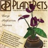 PlantPet Seed [Large Anthurium *Maroon*]
