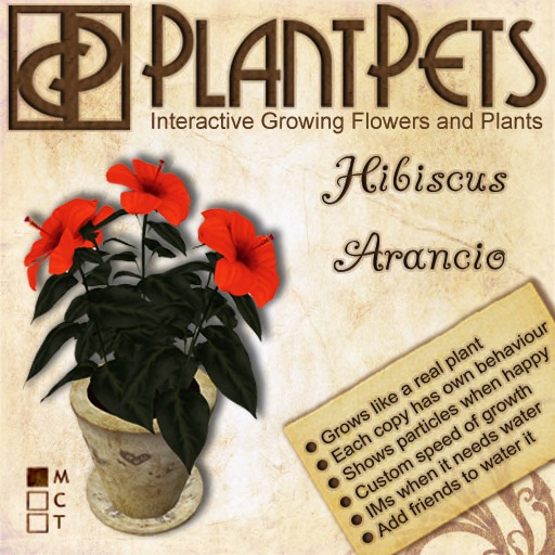 PlantPet Seed [Hibiscus *Arancio*]