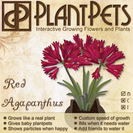 PlantPet Seed [Agapanthus *Red*]