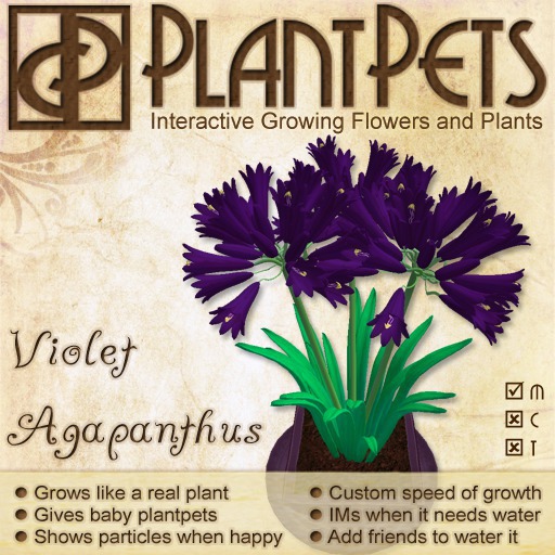 PlantPet Seed [Agapanthus *Violet*]