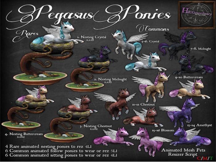 8. *HEXtraordinary* Midnight Pegasus Pony (Sitting)