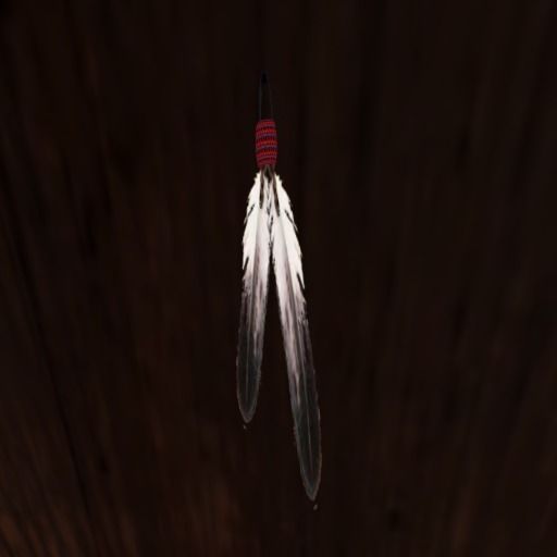 CHILD FEATHERS * YOUNG EAGLE *