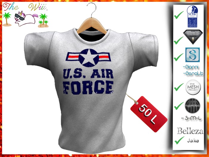US Air Force Shirt