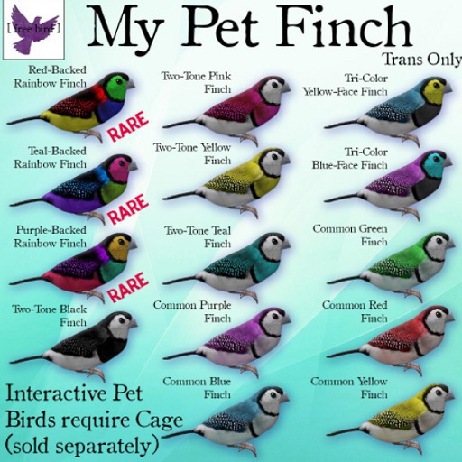 [ free bird ] My Pet Finch Carrier - Peach Princess