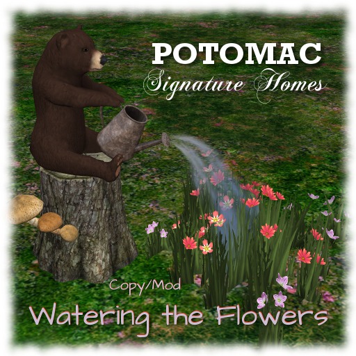 Potomac - Watering the Flowers