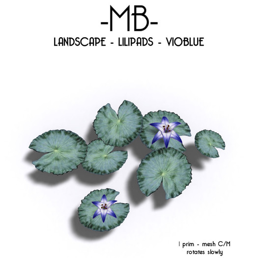 -MB- BOX LANDSCAPE - LILIPADS VIOBLUE