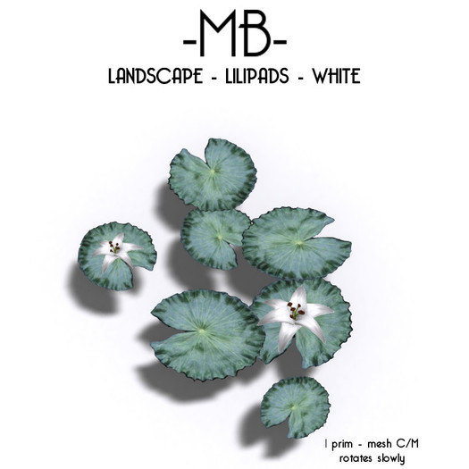 -MB- BOX LANDSCAPE - LILIPADS WHITE
