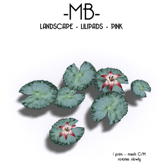 -MB- BOX LANDSCAPE - LILIPADS - PINK