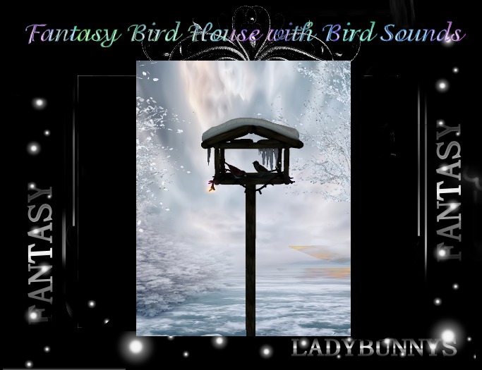 Fantasy Bird House with Bird Sounds