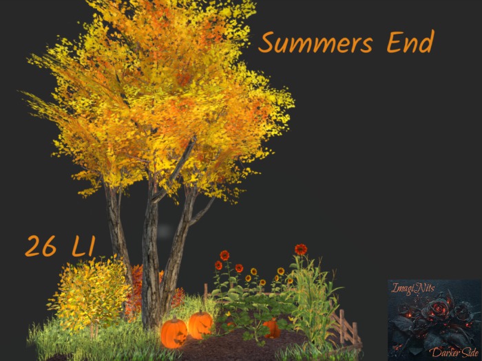 ImagiNits Summers End  (box)