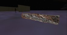 ! lichen log V