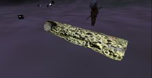 ! lichen log Z by Josh Susanto