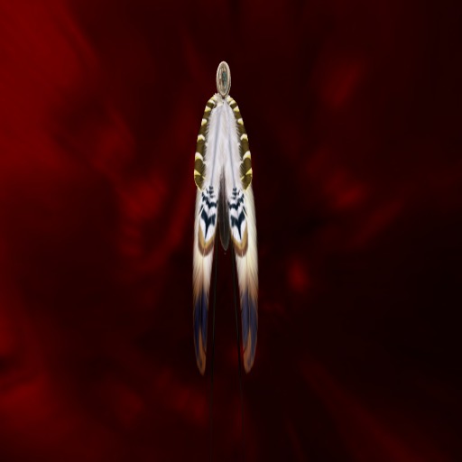 FEATHERS * PACIFIC EXOTIC