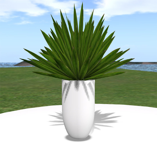 Contemporary Yucca Plant (White) B*