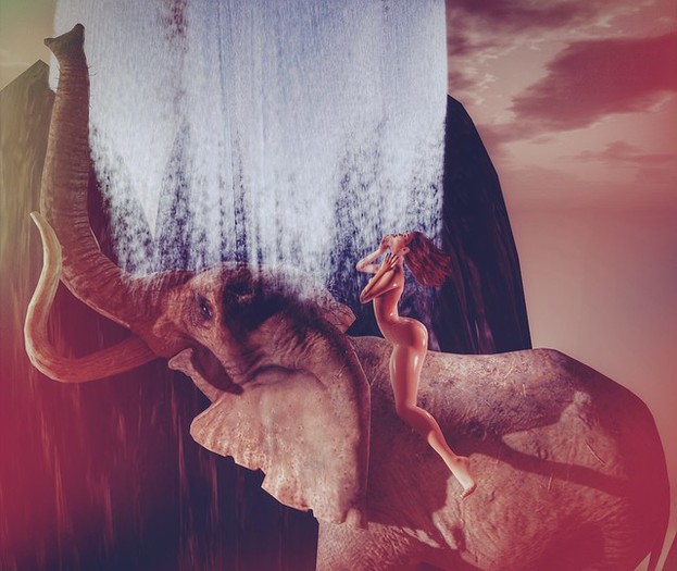 Elephant Bathing
