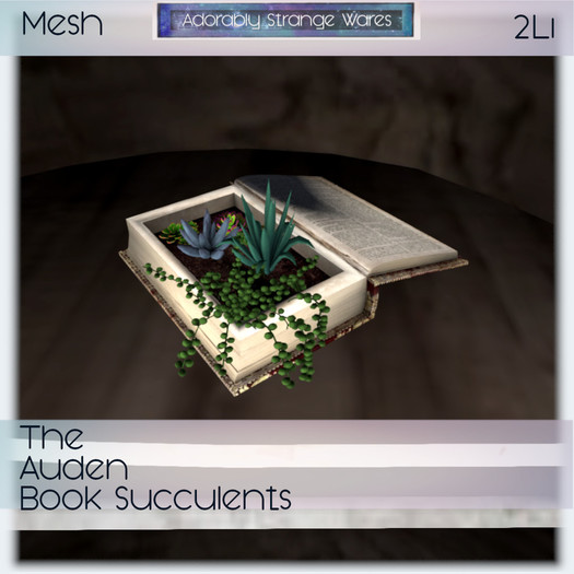 ~ASW~ The Auden Book Succulents