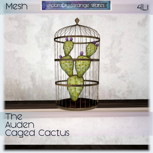 ~ASW~ The Auden Caged Cactus