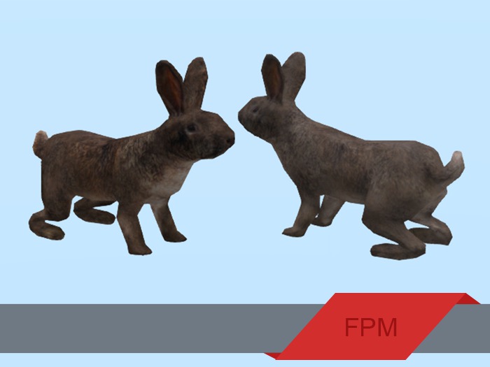 FPM Wild Rabbit - Full Perm - 0.5 LI