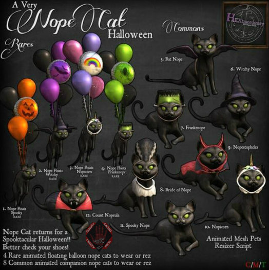 10. *HEXtraordinary* Nope Cat - Nopeicorn