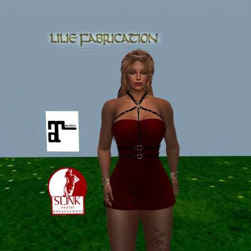 Harness mini dress with color hud