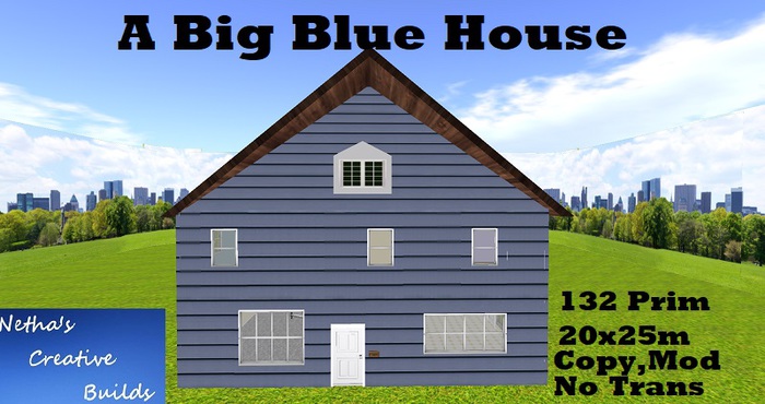 The Big Blue House