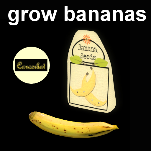 grow bananas