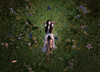 May flowers backdrop1