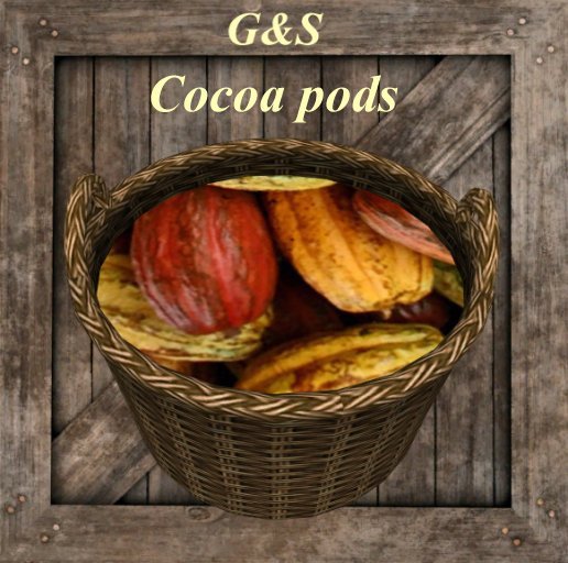 Cocoa pods G&S storage vendor crate - bc