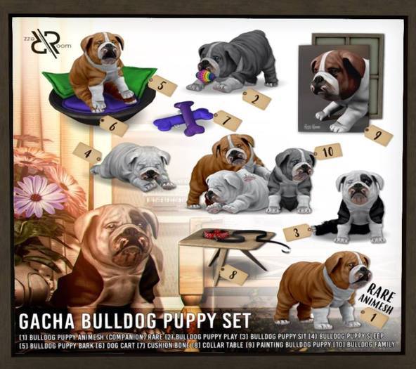 [Rezz Room] Box Collar Table