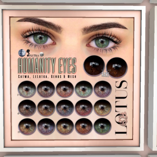 LOTUS. Humanity Eyes 13 BOX