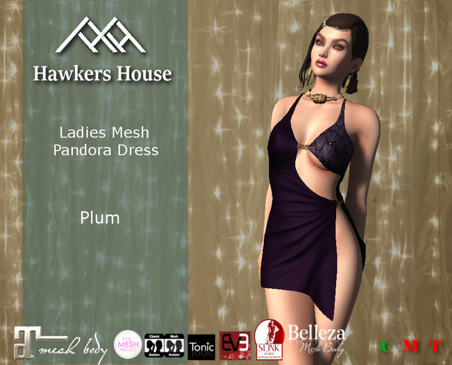 *HH* Ladies Mesh Pandora Dress Plum