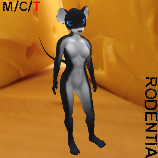 Rodentia Ringtail Mouse Kit Black & White