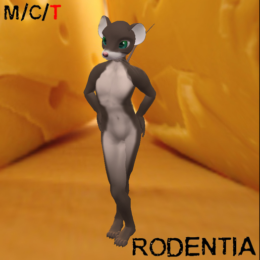 Rodentia Ringtail Mouse Kit Dk Taupe