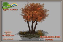 Lady's Garden - Three autumn trees 6 Prim