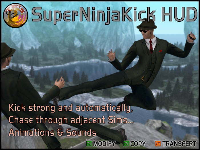 TFs SuperNinjaKick HUD