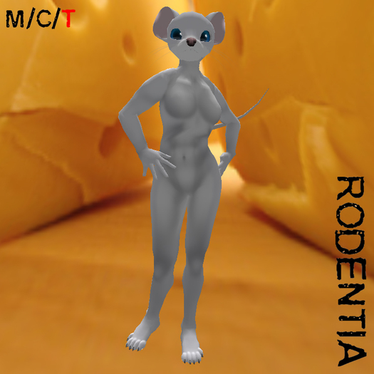 Rodentia Ringtail Mouse Kit White